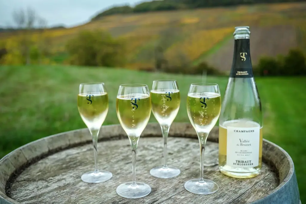 Coupes de champagne sur un tonneau